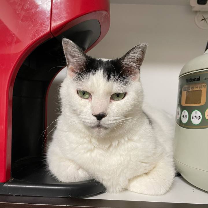 3c29594a 4124 489b bf86 641acd5f5701 1608013356778