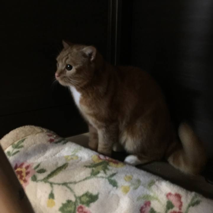 3c296853 e2b8 4457 8de6 084f1509b553 1547683662077