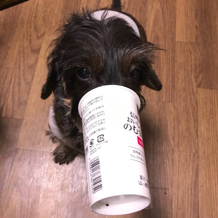 3c297213 9c9f 4506 8c44 1dd53dc540aa 1549721665918