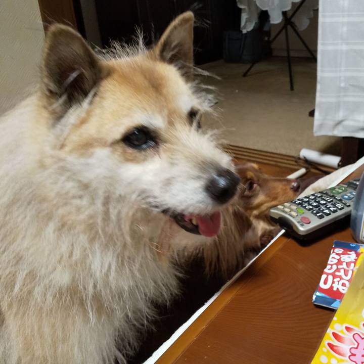 3c2975b3 0dc0 48d8 8dda 3bb1203aeea2 1551503406764