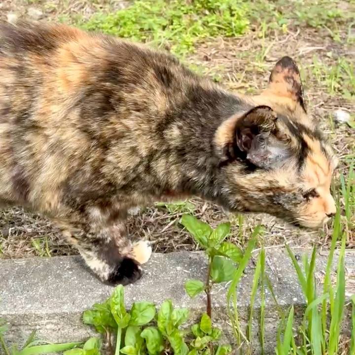 3c29df52 42b3 4032 bbe9 40835e008202 1745548336733