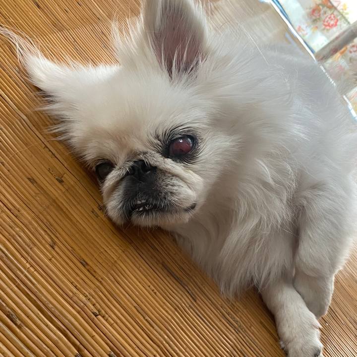 3c2a1a14 86b2 4db2 9a50 f1a04044a9b6 1627176890152