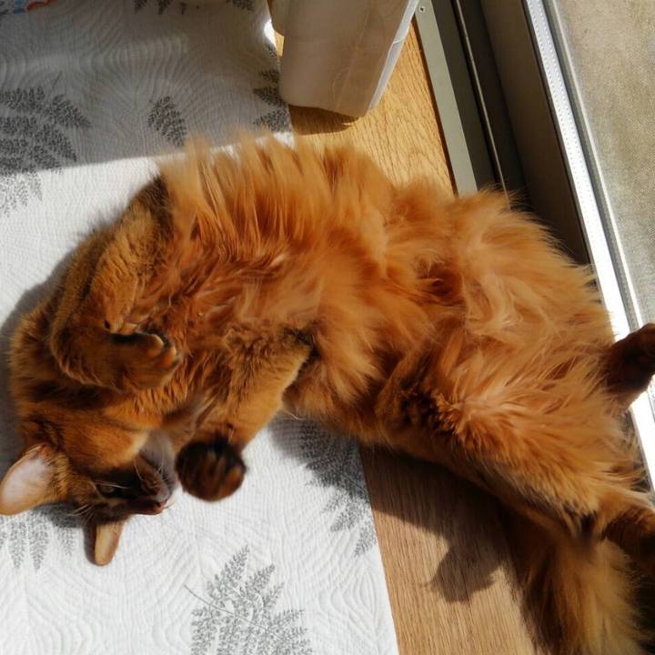 3c2a91cb f8e1 4dd7 8a95 a45ddb1761ab 1617057893576