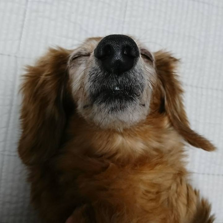 3c2aa720 99cb 48d8 95ed cec514eb1896 1508089207488