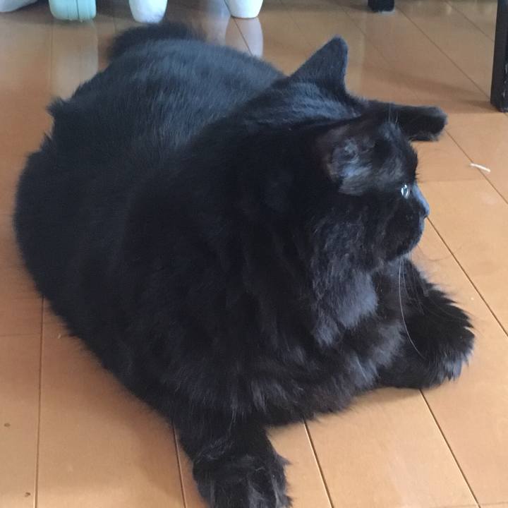 3c2ab0fc 819b 4685 a604 6fbcb5b09da7 1532067791833