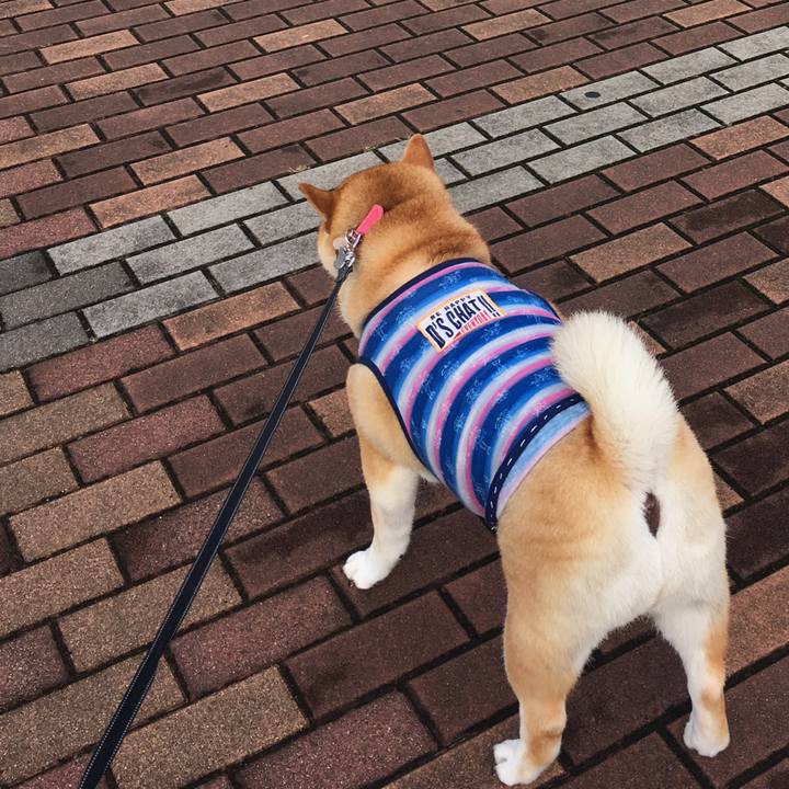 3c2acc2e a0be 466d b0f6 b9e1510bed43 1568851000637