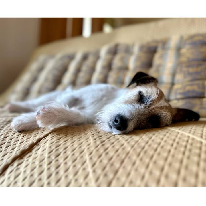 3c2ad178 9c6e 4883 a6f0 029ae997960a 1687062700873