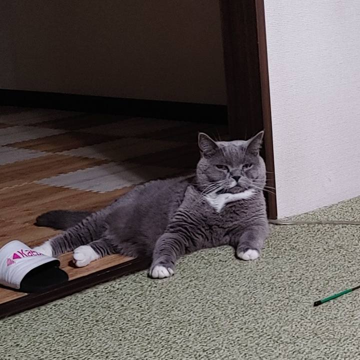 3c2adf24 f787 4257 a459 ebb3d784a158 1659445562264