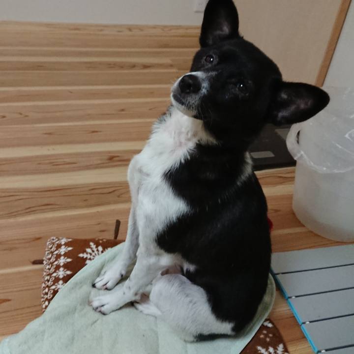 3c2ae019 9d67 417a b4cc b9de04de3143 1603509715885