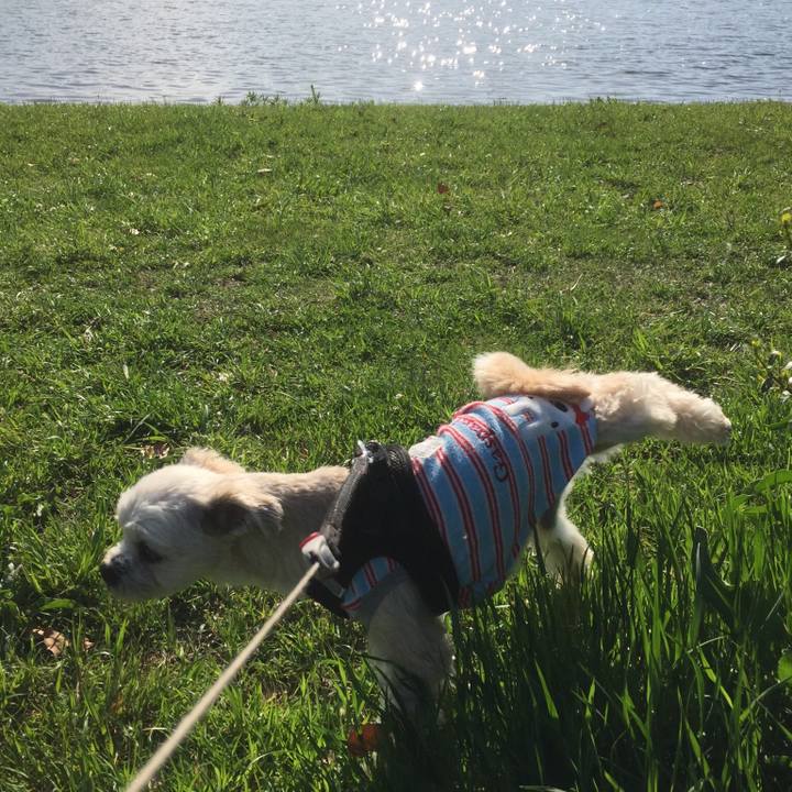 3c2ae18e e663 473c 9a45 528362145a4d 1556786201143