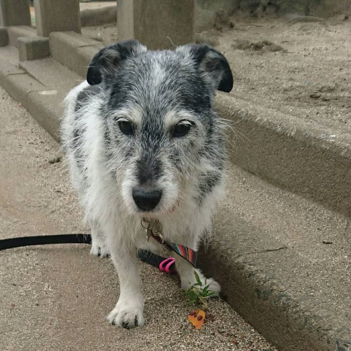 3c2af197 a6bb 4d03 bd4a 7d189a18ba9a 1509771955591