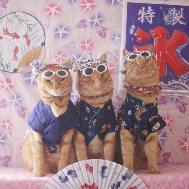 3c2b1500 7762 42bc b3bb 8d4ff9678dd2 1720239574427