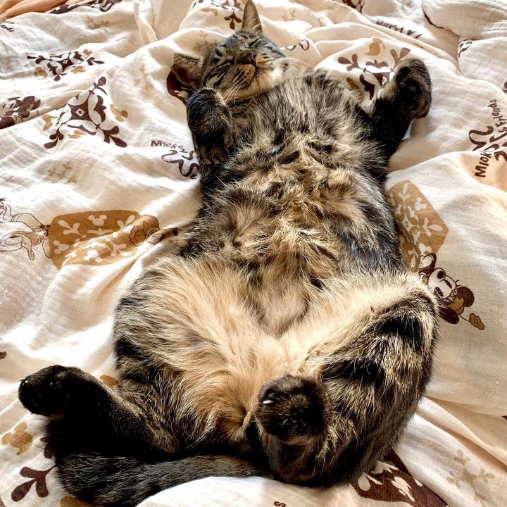 3c2b1cc7 bcf9 4397 9bf2 b9a70a0279f3 1605880031927