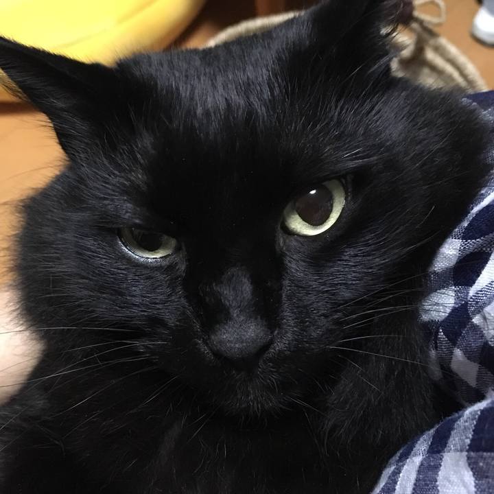 3c2b3cfc ad4b 4495 823a 8417dd61dfb6 1531244310977