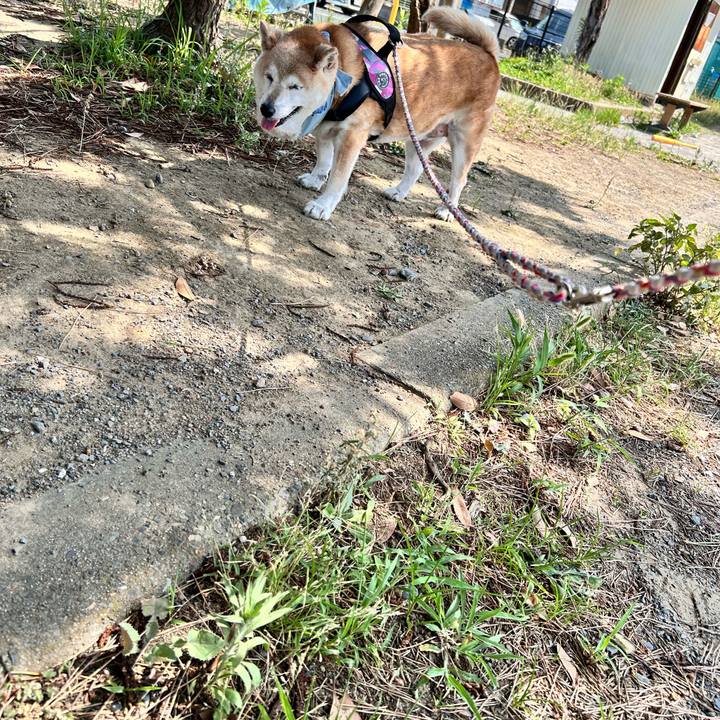 3c2b3d9c 6933 4163 ac1e 316d2f8242cf 1751589538127