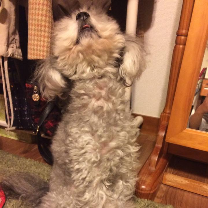 3c2b5932 1d4f 43a7 96a9 ac8ad31549fd 1515107571009