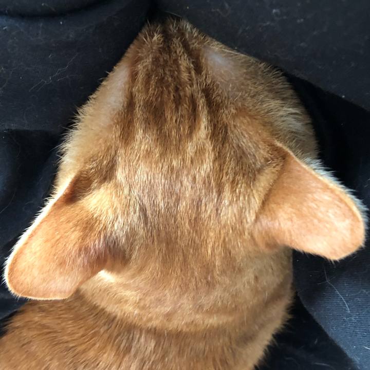 3c2bd1f1 3b61 41de 88c1 7af11f566874 1607819852654