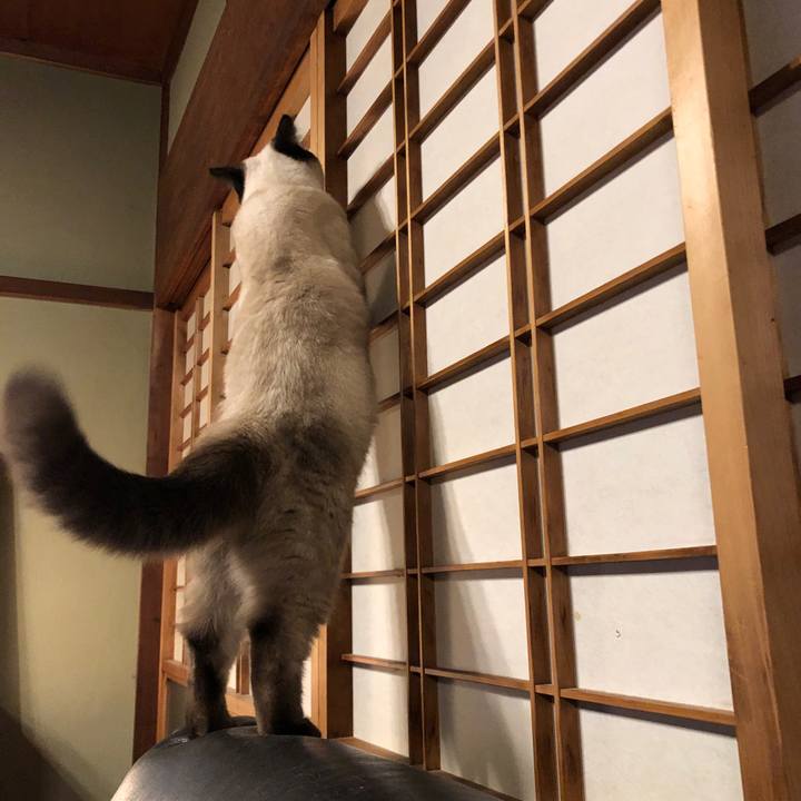 3c2c2775 86d3 498e bb23 de537c09e516 1597368592436