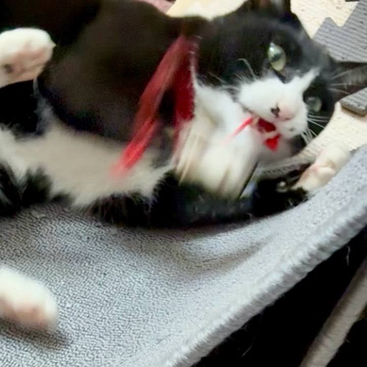 3c2c505e 914c 4199 95e8 5823cc232969 1745548416068