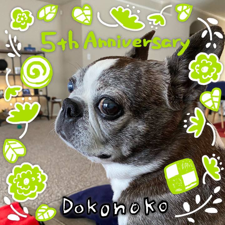 3c2c5457 56c4 496f 8357 8f8ec24f139d 1623259199682