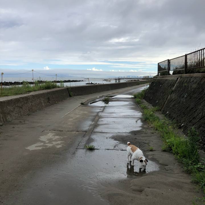 3c2c70c9 c537 4fc7 9160 a43c0c7d80fa 1595977205471