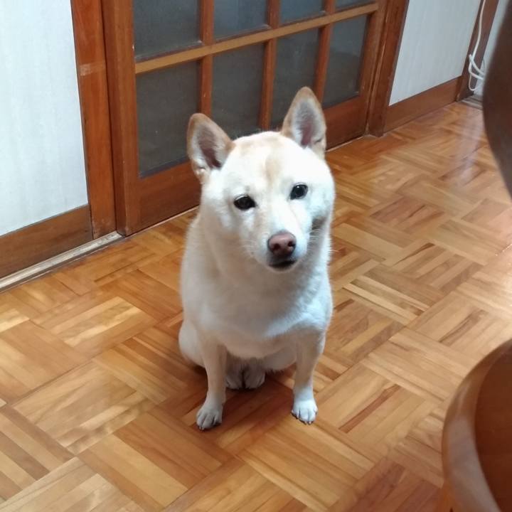 3c2ccab6 6391 4119 a306 4896f12f0a74 1605479471067