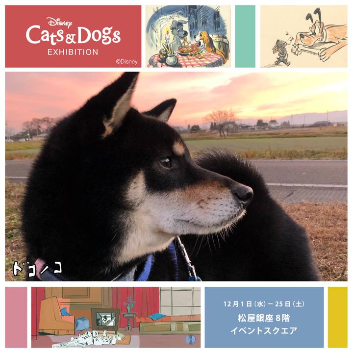 3c2cd164 f5dd 47c0 ae22 a6e6d0eaec3b 1638582012838