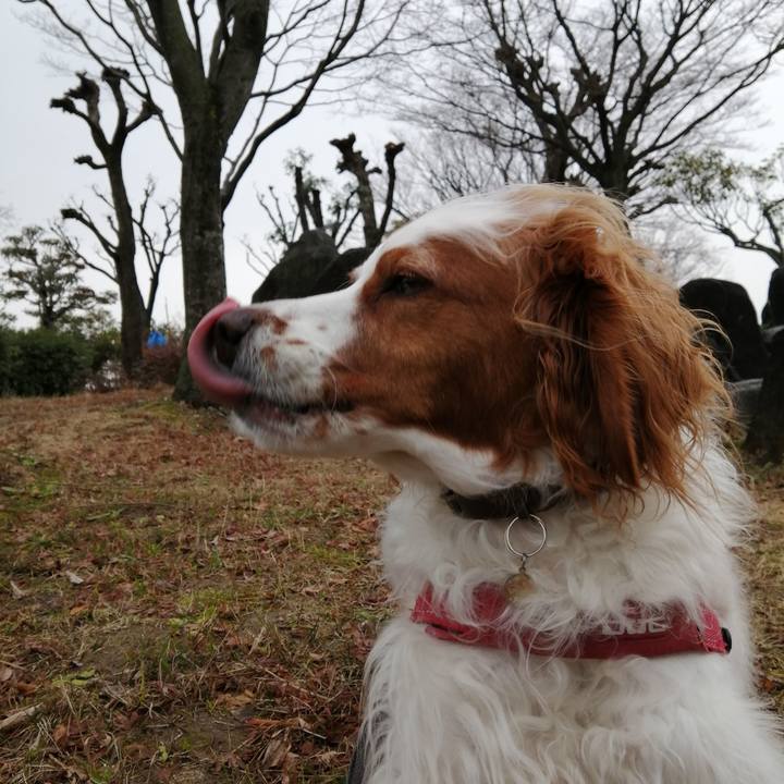 3c2ce1cb 0ded 4ce1 a855 0f6e50072932 1579766613477