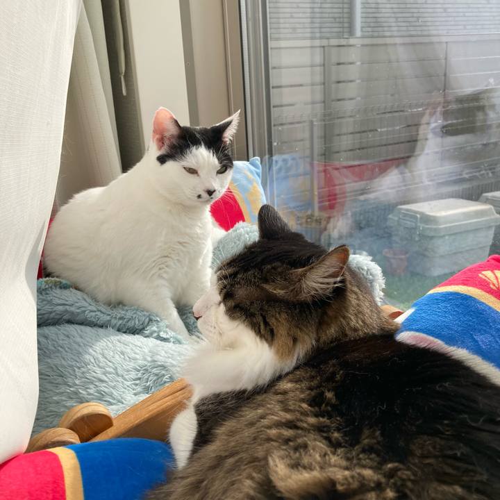 3c2d2c49 3af8 47ff b5de 7a8585b5bfd5 1764214834231