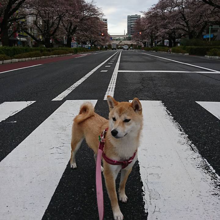 3c2dab4b ec33 457f 8e62 025671f3ba49 1521852193201