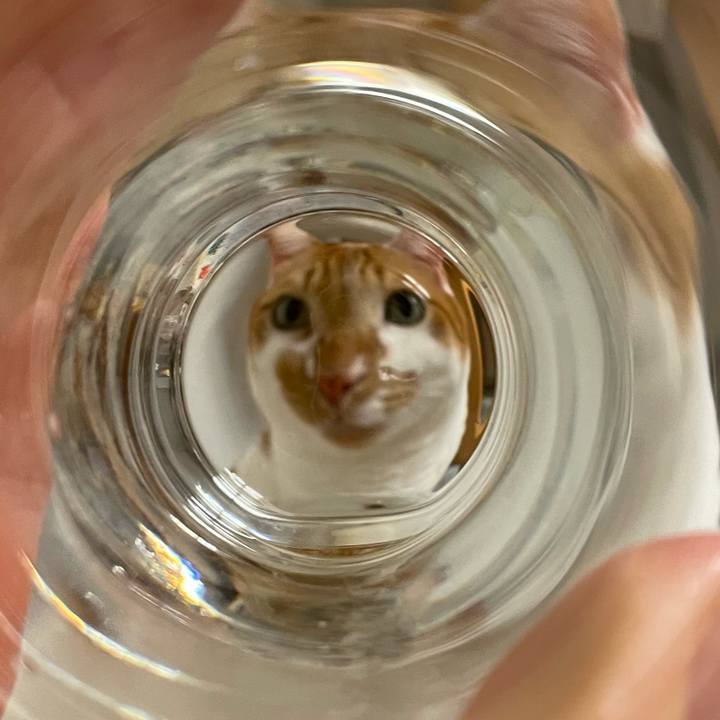 3c2dc70e 78f7 46d3 b7e2 022cd9b25b1e 1637033787032