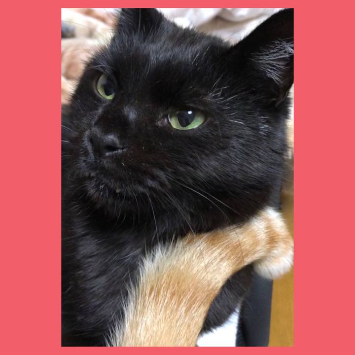 3c2dc80d 2f64 406c 8baa 931e5a6f7858 1606298086955