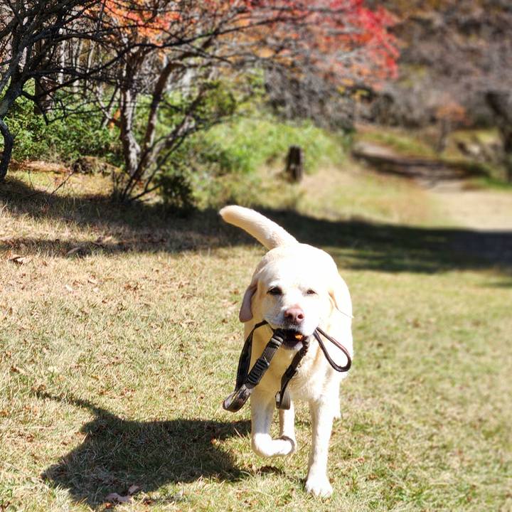 3c2dc8d0 2362 4471 ba50 07763639345c 1761214036434