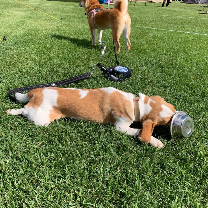 3c2dce87 5a4c 4bd2 981d 03be883a4303 1560171926738