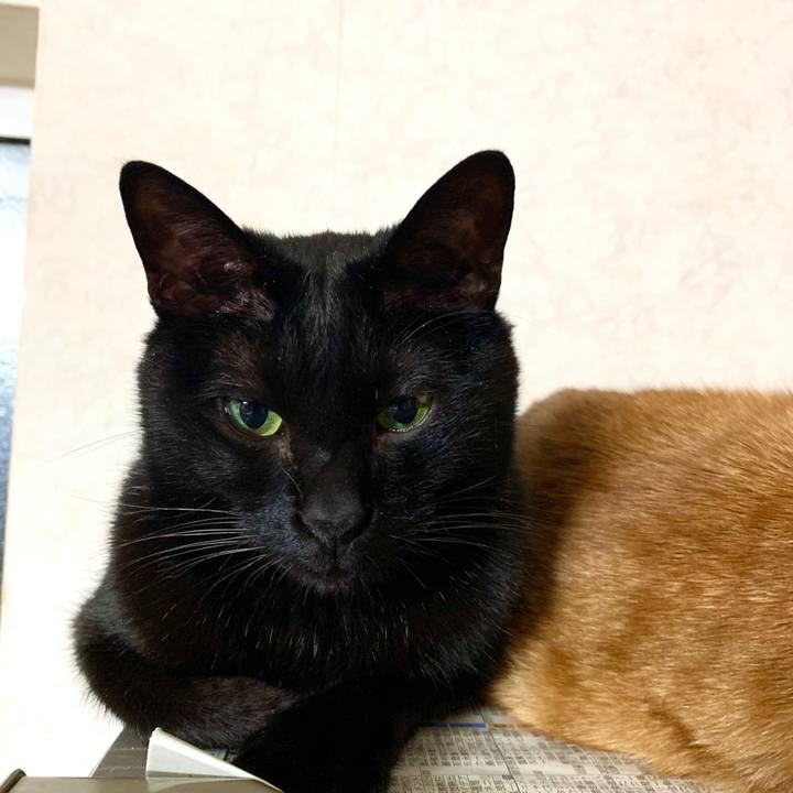 3c2dd3fa 7170 48c2 8172 7ee1c10518b4 1584192104845