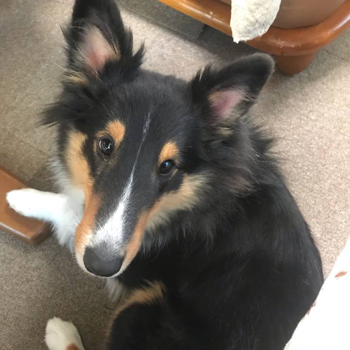 3c2e21cf f85d 4d8d 8c0b 3c410550eae4 1542233053193