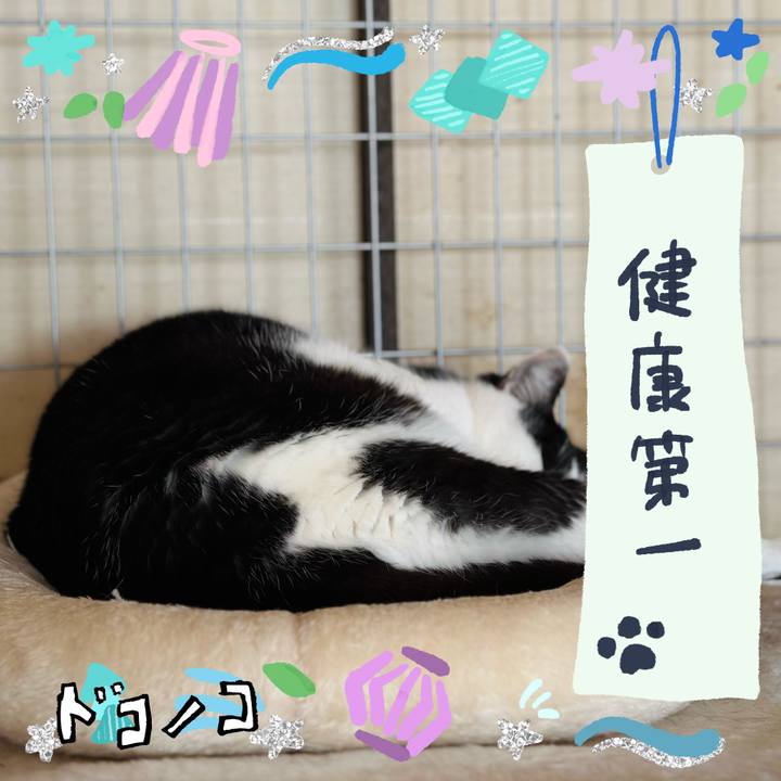 3c2e291e d43e 460b b57c 08deb49c886d 1721007597439