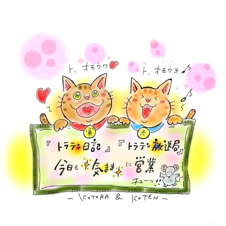 3c2e48f7 3ee5 402a b334 40629b6ffa48 1583081311671