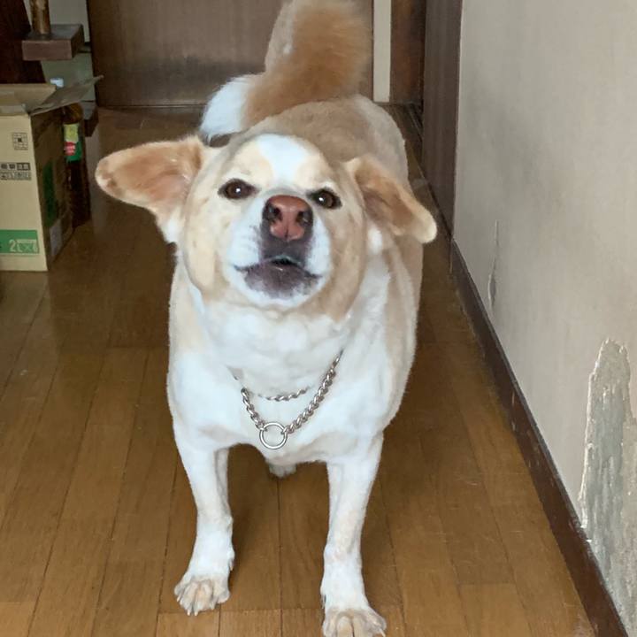 3c2e59a1 5f09 4e51 9154 4a4160083faa 1560351460742