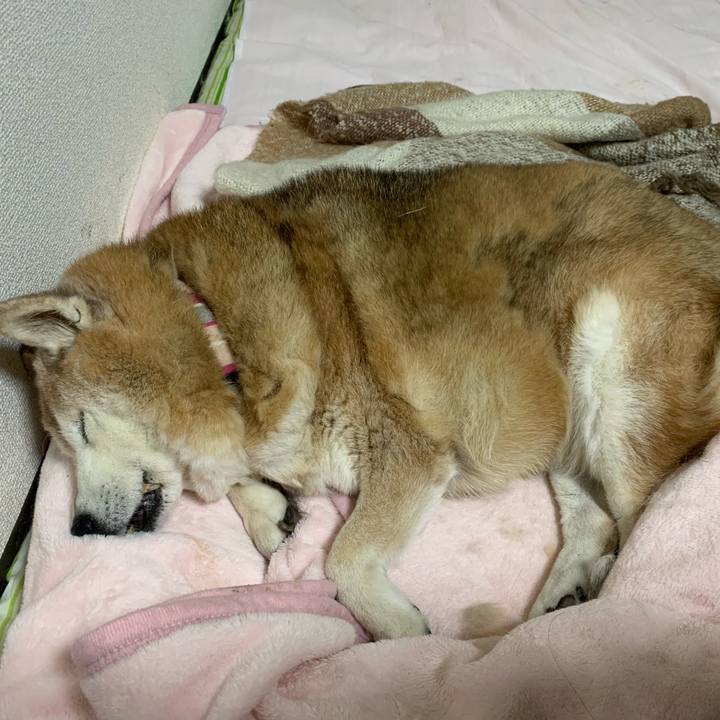 3c2e8e33 3cf8 481e 9031 5af6610585f1 1672784795998