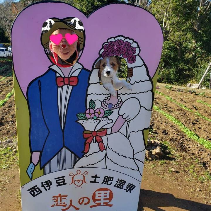 3c2e9c27 4de6 4272 8cd7 e8ff32d40c28 1577956282106