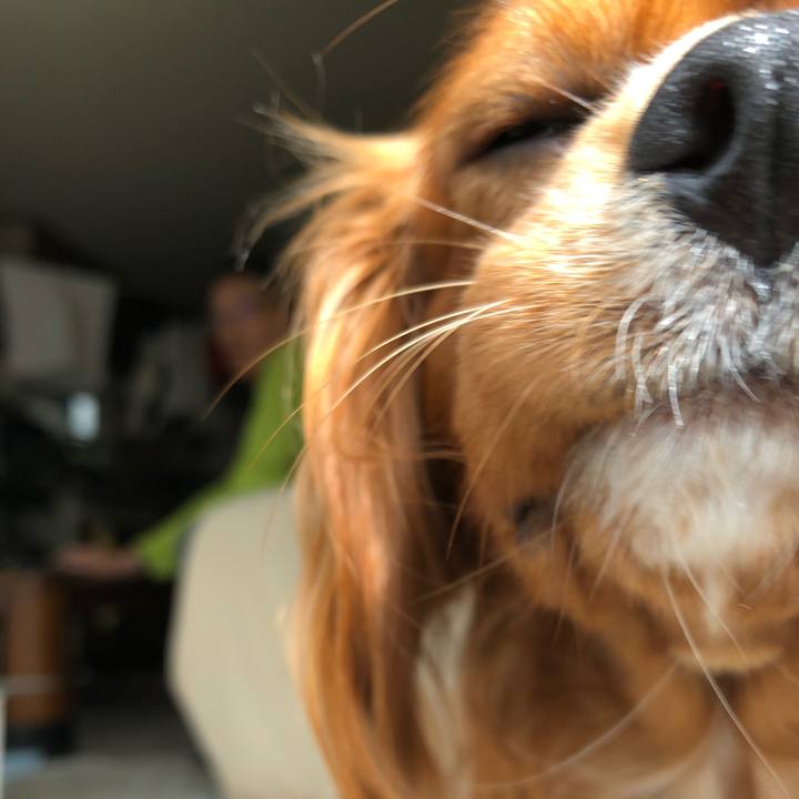 3c2ea55e bb24 400d 9b02 a8e90d3c812c 1535976171976