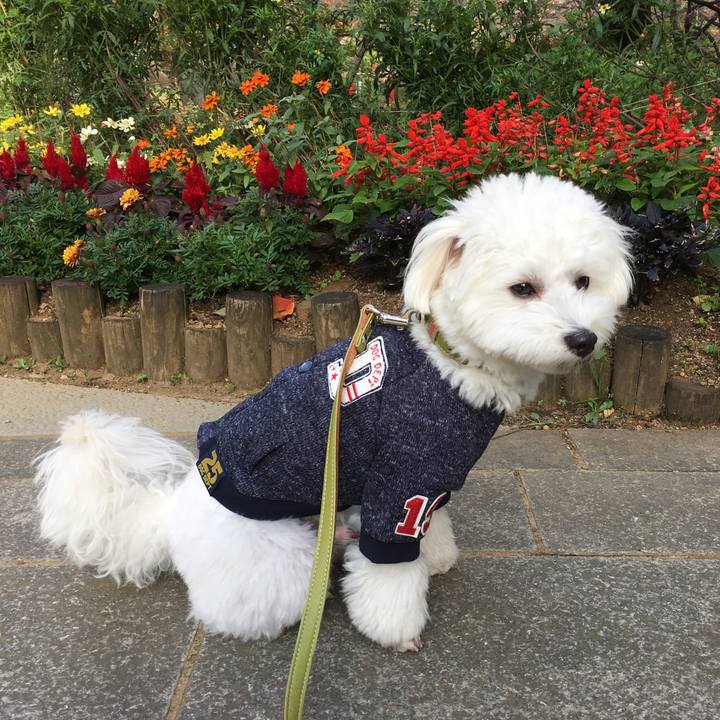 3c2ed188 2d54 4684 a63c 134b849694b5 1510553395488