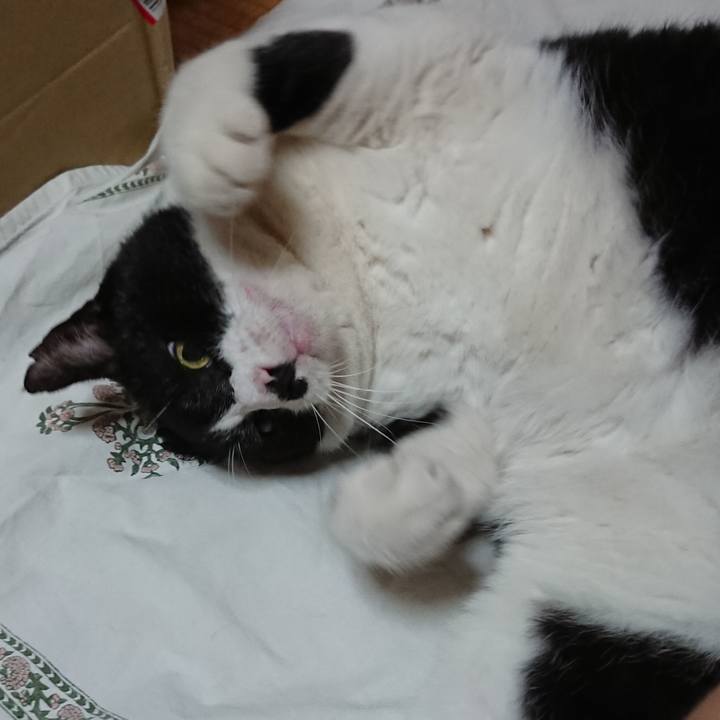 3c2ef8dc 5d47 4ace 9f2a 508225de4e58 1660880776869