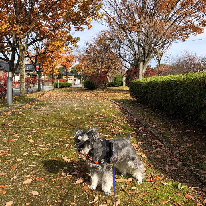 3c2ef9cf dd1c 4920 ae66 cc1b88f916fd 1700734121254