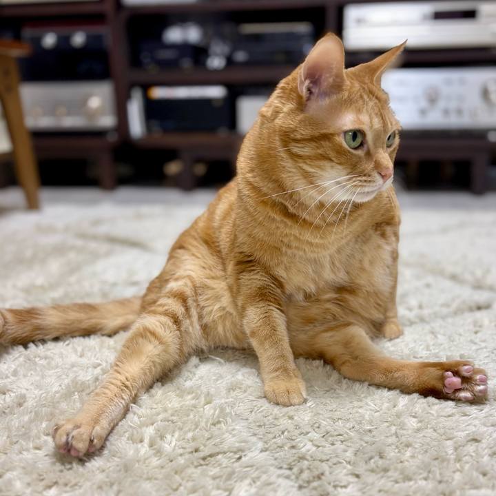 3c2f2861 6a0f 4c16 852d d05f91416221 1763101472297