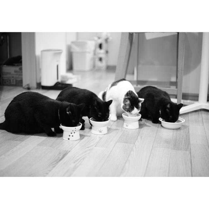 3c2f3c90 5085 4be1 b85f 0b39be1d36ff 1530714114880