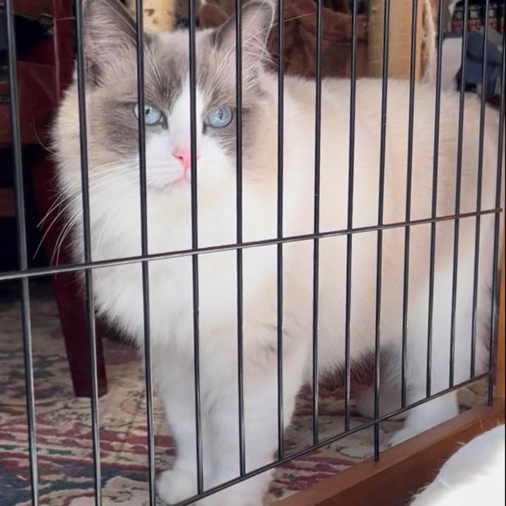 3c2f430d 6bda 4b87 a851 453bab655758 1679267089139