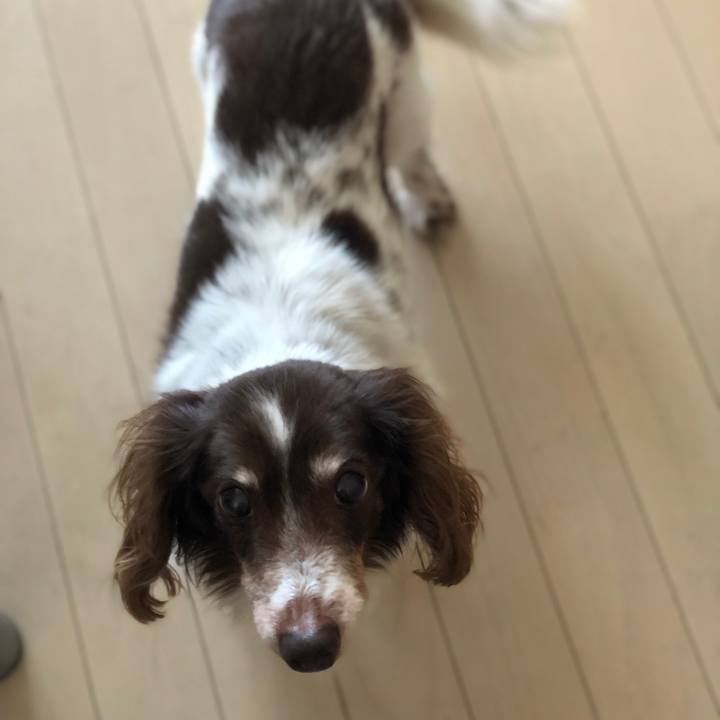 3c2f445c b0c8 43b0 b901 1afbe879dbe8 1557444711947