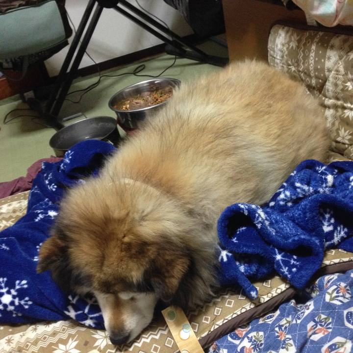 3c2f9c64 6669 49dd 89e2 a9adf9d3e8e6 1548855389704